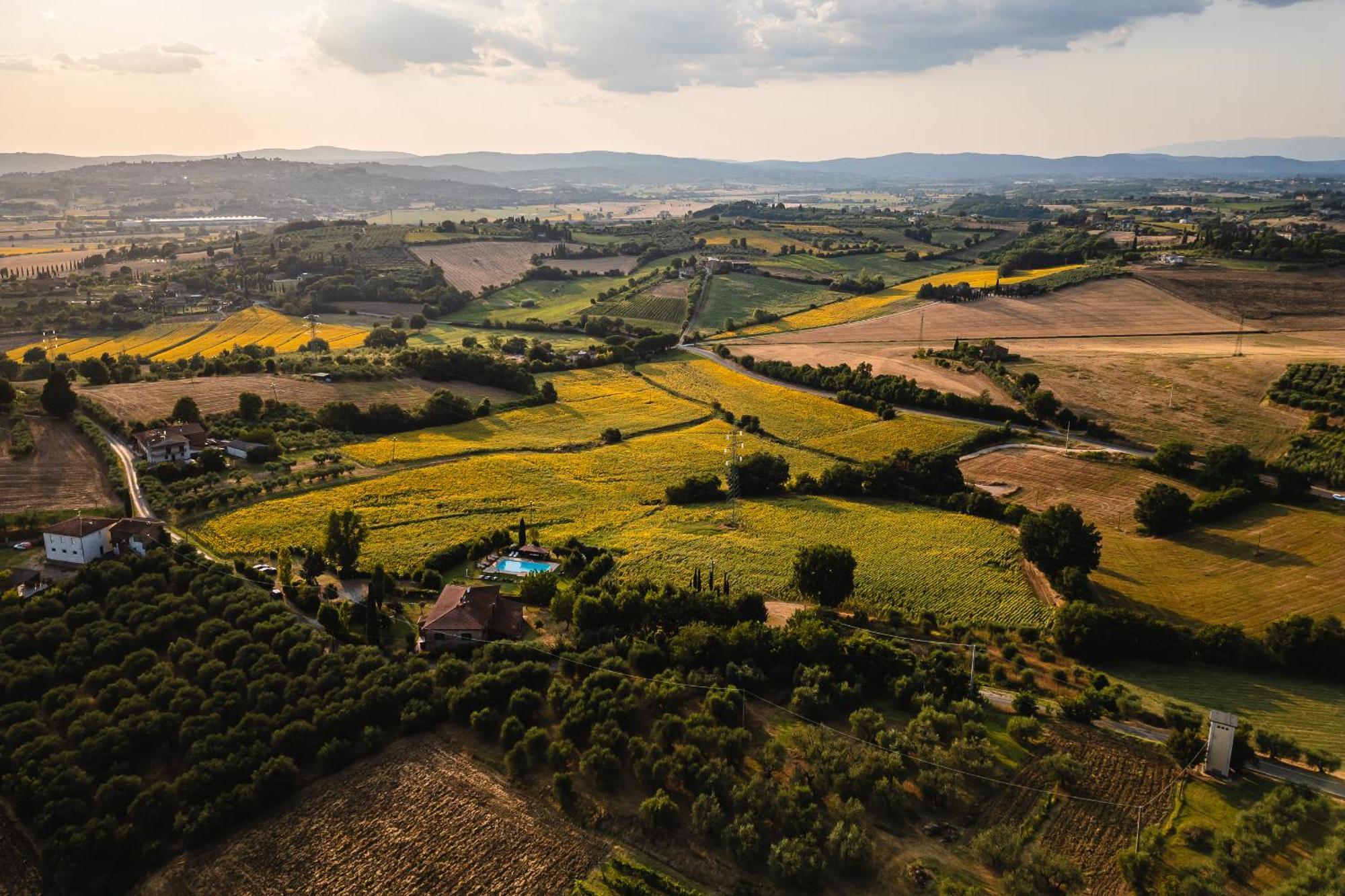 Villa Le Belle Giornate Foiano Della Chiana Εξωτερικό φωτογραφία